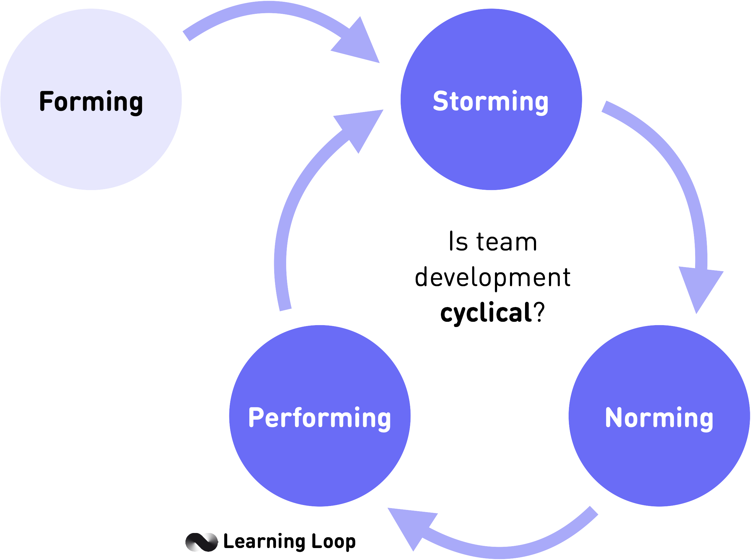 Is Tuckman's model for team development cyclical?