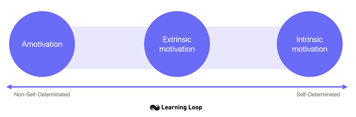 Amotivation, Extrinsic Motivation, and Intrinsic Motivation. The self-determination continuum.